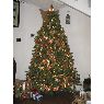 Weihnachtsbaum von Alejandra (Guatemala, Guatemala)