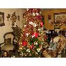 Jose Higuerey's Christmas tree from Barinas, Venezuela