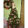 Carlos Arturo Errejon Gonzalez's Christmas tree from Salamanca, Guanajuato, M�xico
