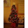 Sara's Christmas tree from Almer�a, Espa�a