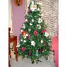 Ana M� Romero's Christmas tree from Cadiz, ESPA�A