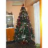 Karmele Herranz's Christmas tree from Valencia, Espa�a