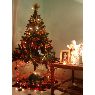 Marcelo Arteaga Gonzales's Christmas tree from Argentina-Salta