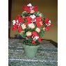 Veronica Marchetto's Christmas tree from Buenos Aires, Argentina