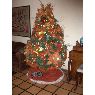 Zulay Becerra's Christmas tree from Caracas, Venezuela