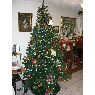 Jose Gregorio Garcia V's Christmas tree from Venezuela