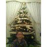 Sandro Victorio Pinto's Christmas tree from Sevilla, ESPA�A