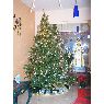 Familia Sarmiento's Christmas tree from Caracas, Venezuela