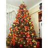 Sapin de No�l de Ana Flores (Lima, Peru)
