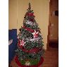 Raquel's Christmas tree from Barcelona, Espa�a