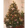 Beatriz Garcia's Christmas tree from Madrid, Espa�a