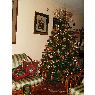 Sapin de No�l de Mireya Garcia (Puerto la Cruz, Venezuela)