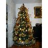 IRVING MARQUEZ E IVONNE OBELMEJIAS's Christmas tree from CARACAS - VENEZUELA