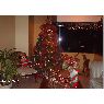 Richard Medina's Christmas tree from Caracas, Venezuela