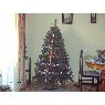 Ana Maria's Christmas tree from Zaragoza, Espa�a