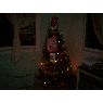 Milagros Guadeliz's Christmas tree from Anzoategui, Venezuela