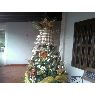 Yosmar Gonz�lez's Christmas tree from El Tigre, Venezuela