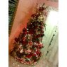 Weihnachtsbaum von Nergio Diaz (Maracaibo, Zulia, Venezuela)