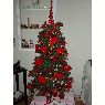 Marisa Z's Christmas tree from Buenos Aires, Argentina