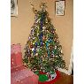 Lopez's Christmas tree from Bourg en Bresse, France