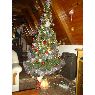 Vanina D�az's Christmas tree from Argentina