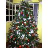 Agostinho Da Silva's Christmas tree from Caracas, Venezuela