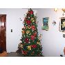 Mariela Perdomo's Christmas tree from Caracas, Venezuela