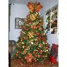 Sapin de No�l de ANDREA (MESSINA, ITALIA)