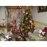 Marianela del Pilar's Christmas tree from Vi�a del Mar, Chile