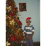 Weihnachtsbaum von Piera (Valencia, Venezuela)