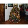 Sapin de No�l de Luisa Graterol (Yaracuy, Venezuela)