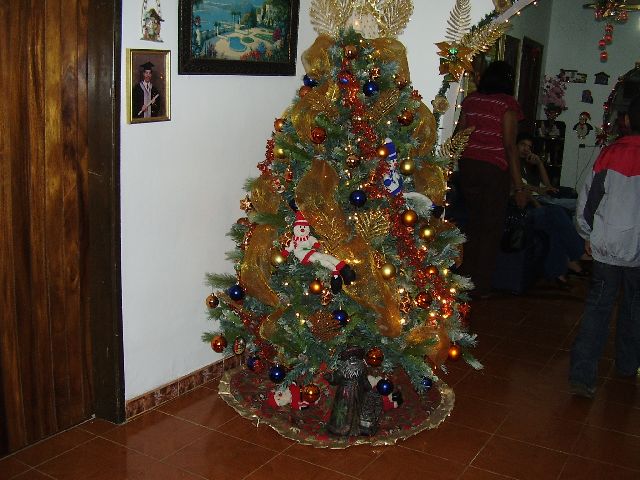 Luisa Graterol (Yaracuy, Venezuela)