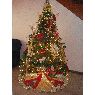 Sapin de No�l de Familia Marval Reyes (Estado Nueva Esparta, Venezuela)