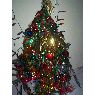 GuilleX's Christmas tree from Paran�, Entre Rios, Argentina