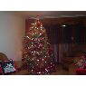 Victoria Chacon's Christmas tree from Caracas, Venezuela