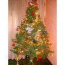 Jesus's Christmas tree from Ontinyent, Espa�a