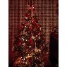 Isaac's Christmas tree from Gerona, Espa�a
