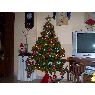 Ruben Romero de la Torre's Christmas tree from Cadiz, Espa�a