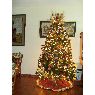 Sapin de No�l de Familia Lopez Garcia (Puerto la Cruz, Venezuela)