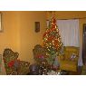 Eduardo Alfonzo's Christmas tree from La Victoria, Aragua, Venezuela