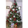 Sapin de No�l de Carolina Romero Duque (Maracaibo, Venezuela)