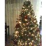 Weihnachtsbaum von Alexandra (Venezuela)
