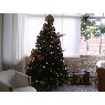 Jonas Ayala's Christmas tree from Caracas, Venezuela