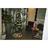 OCTUB's Christmas tree from Alicante, espa�a