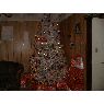 Viviana Gonzalez's Christmas tree from Tijuana, Baja California, M�xico