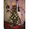 Ricardo Di Filippo's Christmas tree from Tres Arroyos,Buenos Aires, Argentina