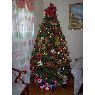 Weihnachtsbaum von Hilda de Sarcos (Maracaibo ,Venezuela)