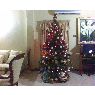 Milagros, Neimi y Gabriela's Christmas tree from Punto Fijo, Falcon, Venezuela