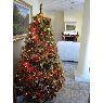 Luis y M� Carmen's Christmas tree from Tordera, Espa�a