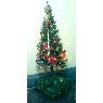 Olga Marca M.'s Christmas tree from Cochabamba, Bolivia